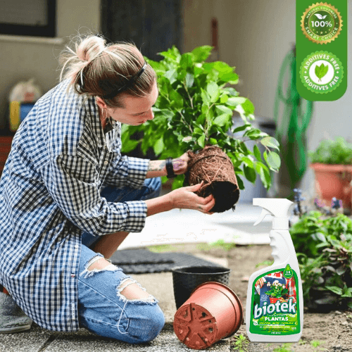Biotek Alimento Para Plantas - Aumenta La floración y mejora el enraizamiento en solo días