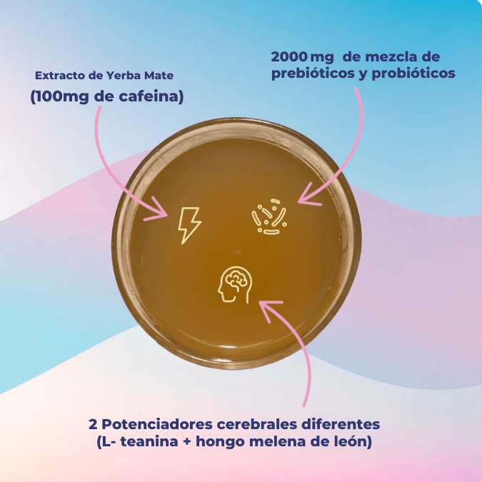 Yerba Magic | Té Instantáneo De Yerba Mate En Polvo Bajo en azúcar, repleto de prebióticos y probióticos