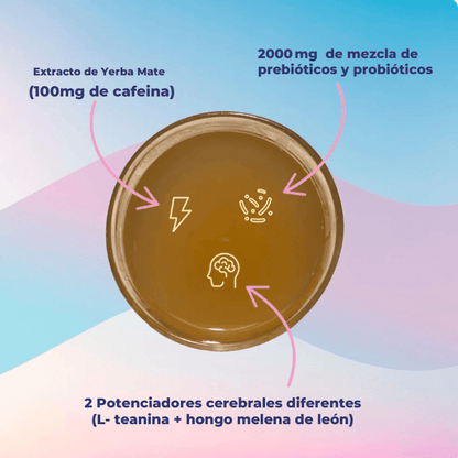Yerba Magic | Té Instantáneo De Yerba Mate En Polvo Bajo en azúcar, repleto de prebióticos y probióticos