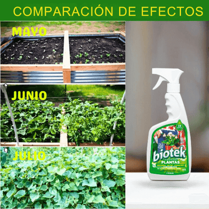 Biotek Alimento Para Plantas - Aumenta La floración y mejora el enraizamiento en solo días