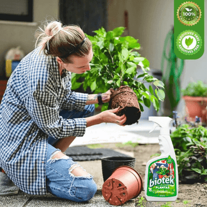 Biotek Alimento Para Plantas - Aumenta La floración y mejora el enraizamiento en solo días